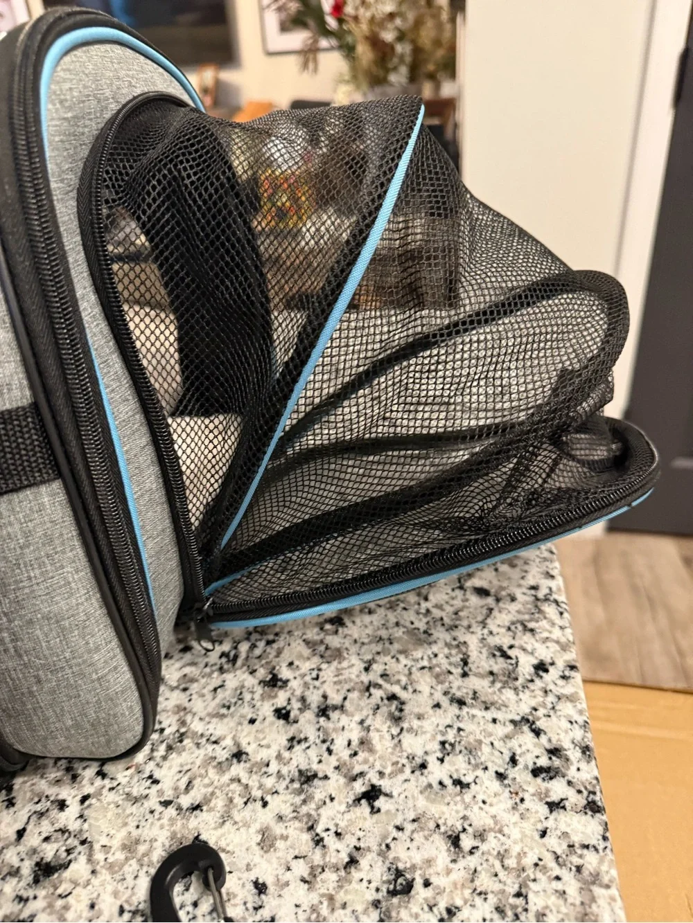 Pet  carrier Gray and Light Blue Soft-Sided Pet Carrier with Removable Strap